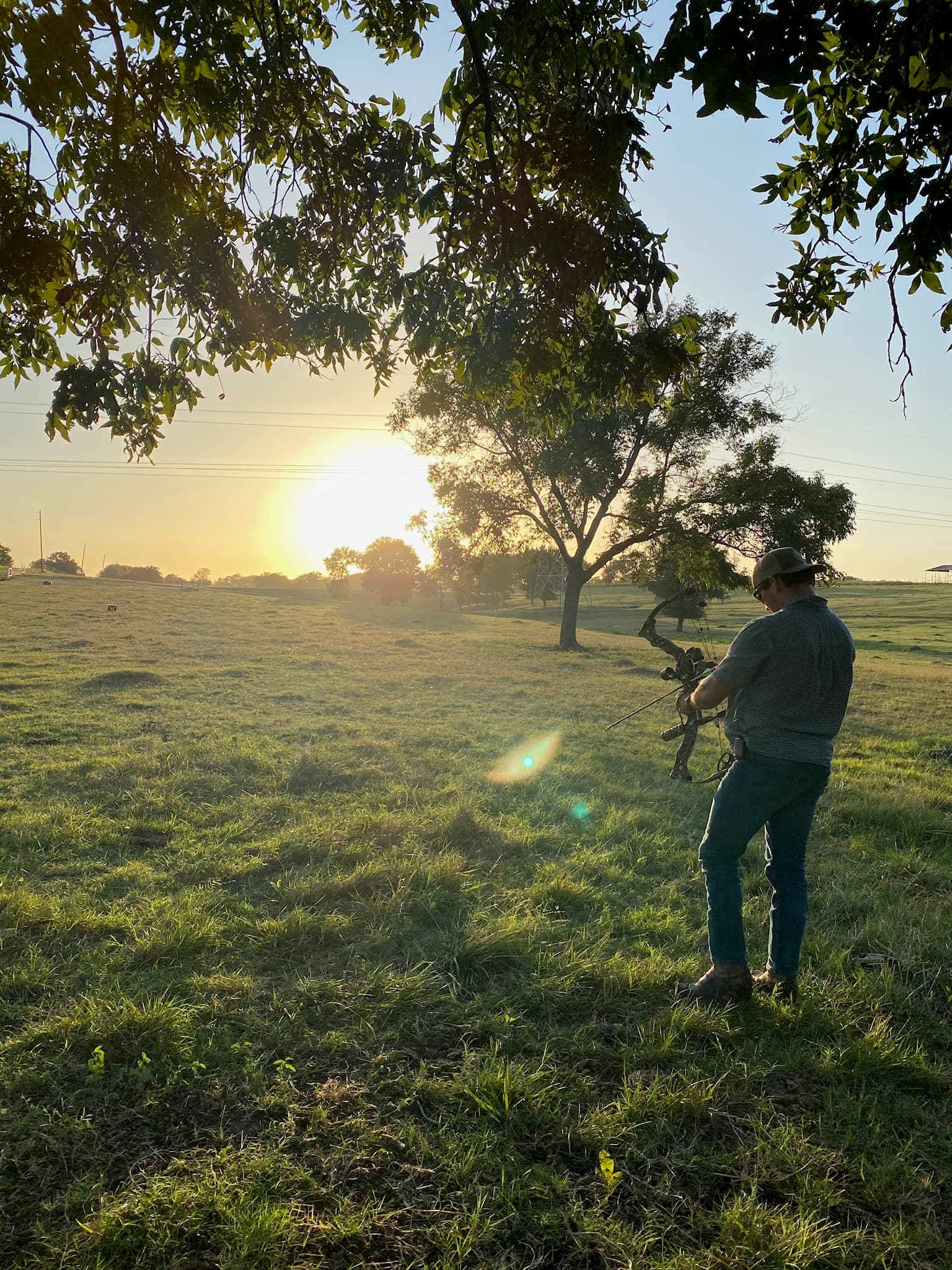 Compound archer at full draw in a golden field at sunset
