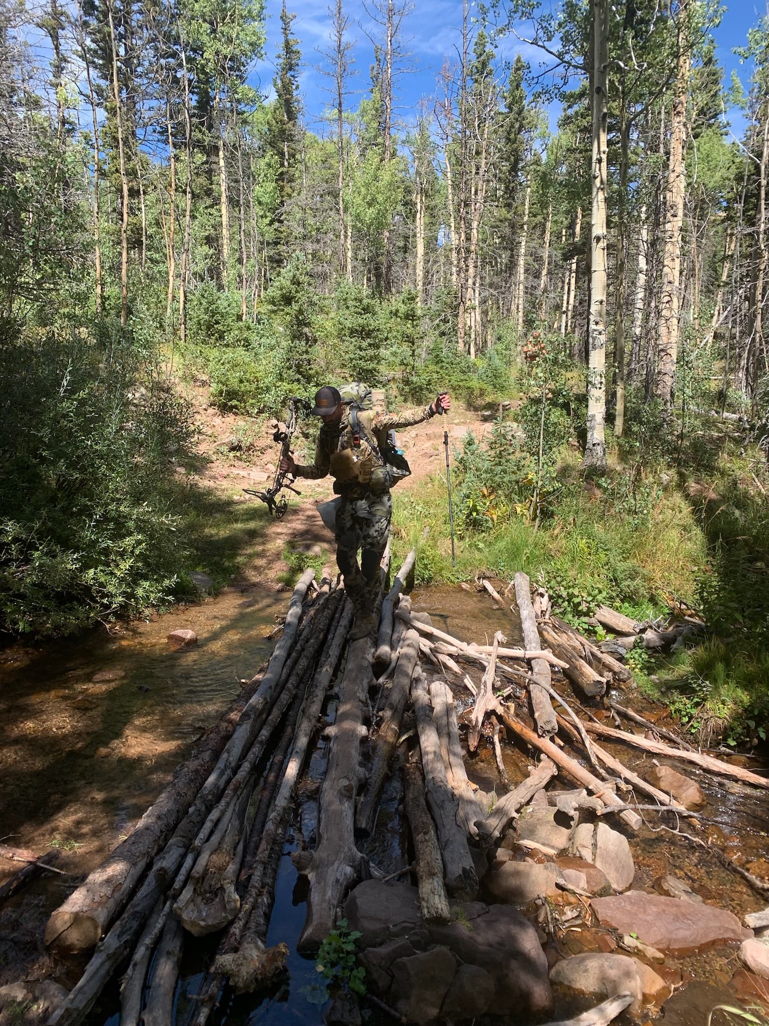 Bowhunter crossing a log bridge over an aspen creek