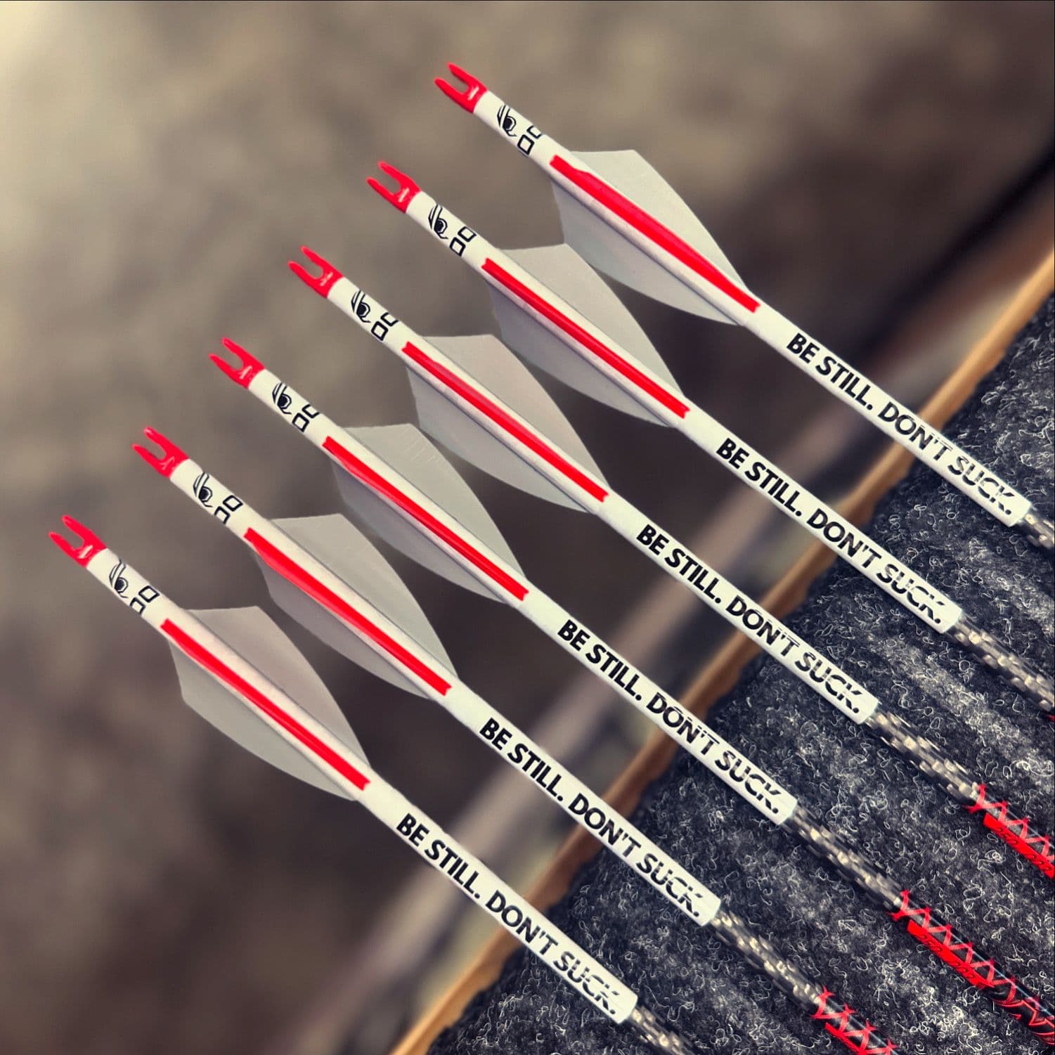 Six fletched arrows lined up on the workbench, each wrap reading "BE STILL. DON'T SUCK." in stenciled letters