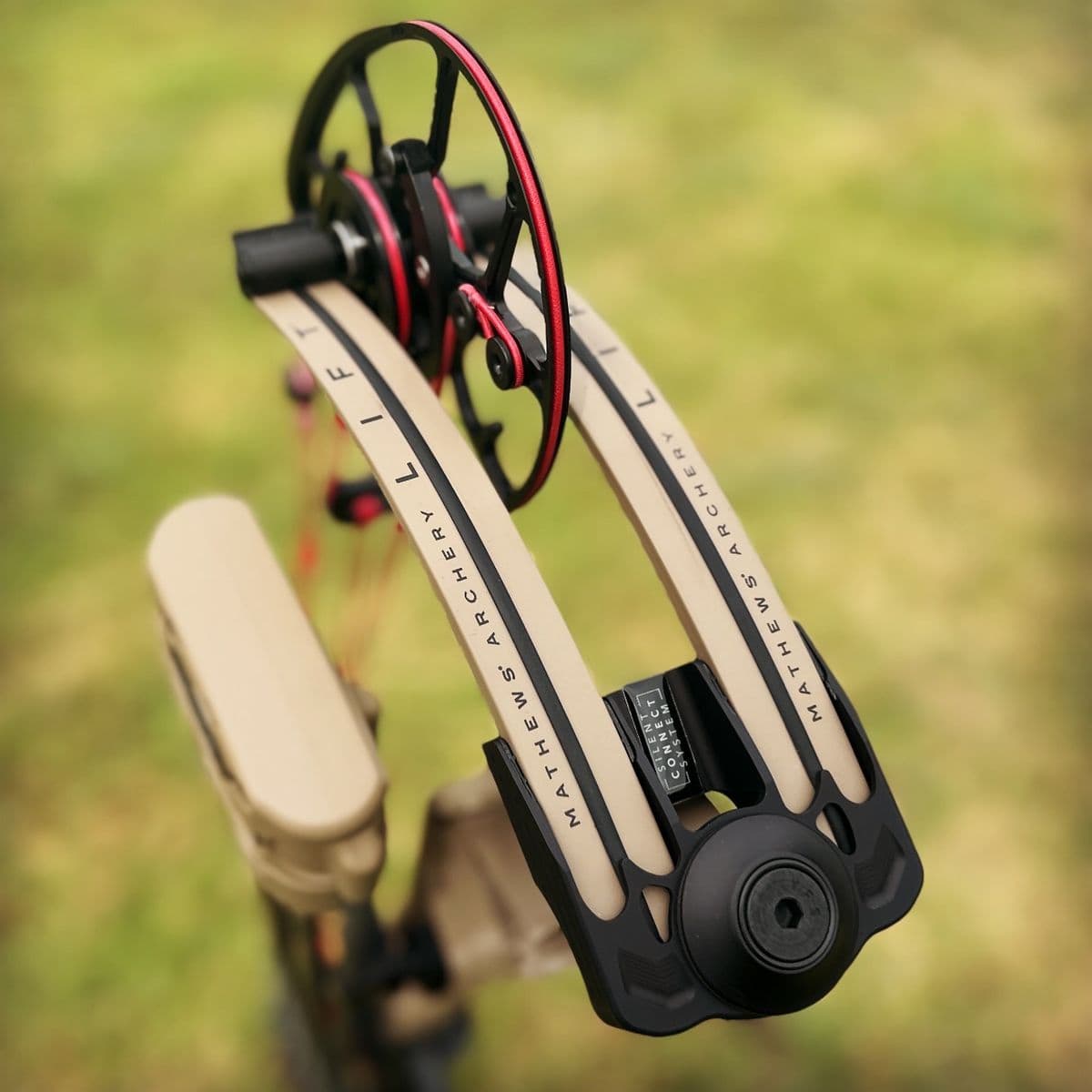 Close-up of a Mathews Lift compound bow cam and limb, dust pattern catching morning light