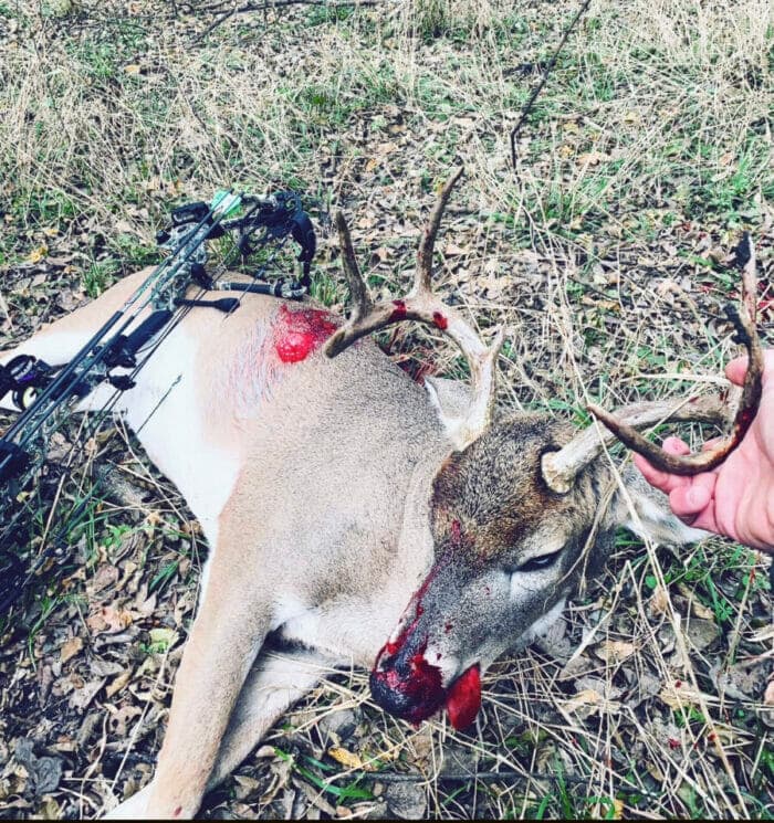 Bow Hunting Whitetail from the Ground